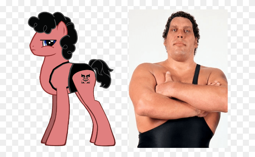 660x457 Ponified Andr The Giant Andre The Giant Full, Person, Human, Clothing HD PNG Download