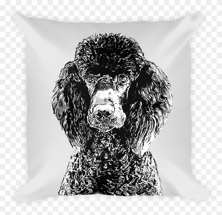 913x882 Poodle Duotone Comic White Decorative Pillow Standard Poodle, Cushion, Dog, Pet HD PNG Download