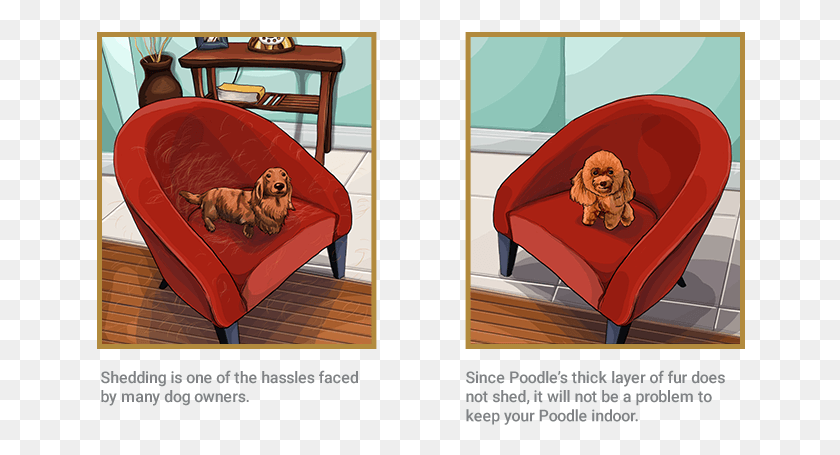 650x395 Poodle Futon Pad, Furniture, Chair, Bed HD PNG Download