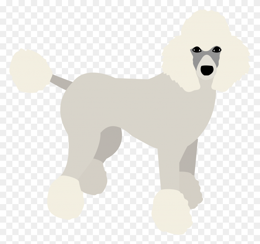 2541x2375 Poodle Standard Poodle, Pet, Animal, Dog HD PNG Download