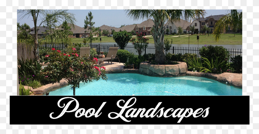 991x477 Pool Landscaping Pool Landscapes Pool Scaping Resort, Outdoors, Water, Garden HD PNG Download
