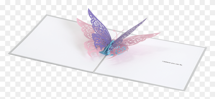 1089x459 Pop Up Book, Bird, Animal HD PNG Download