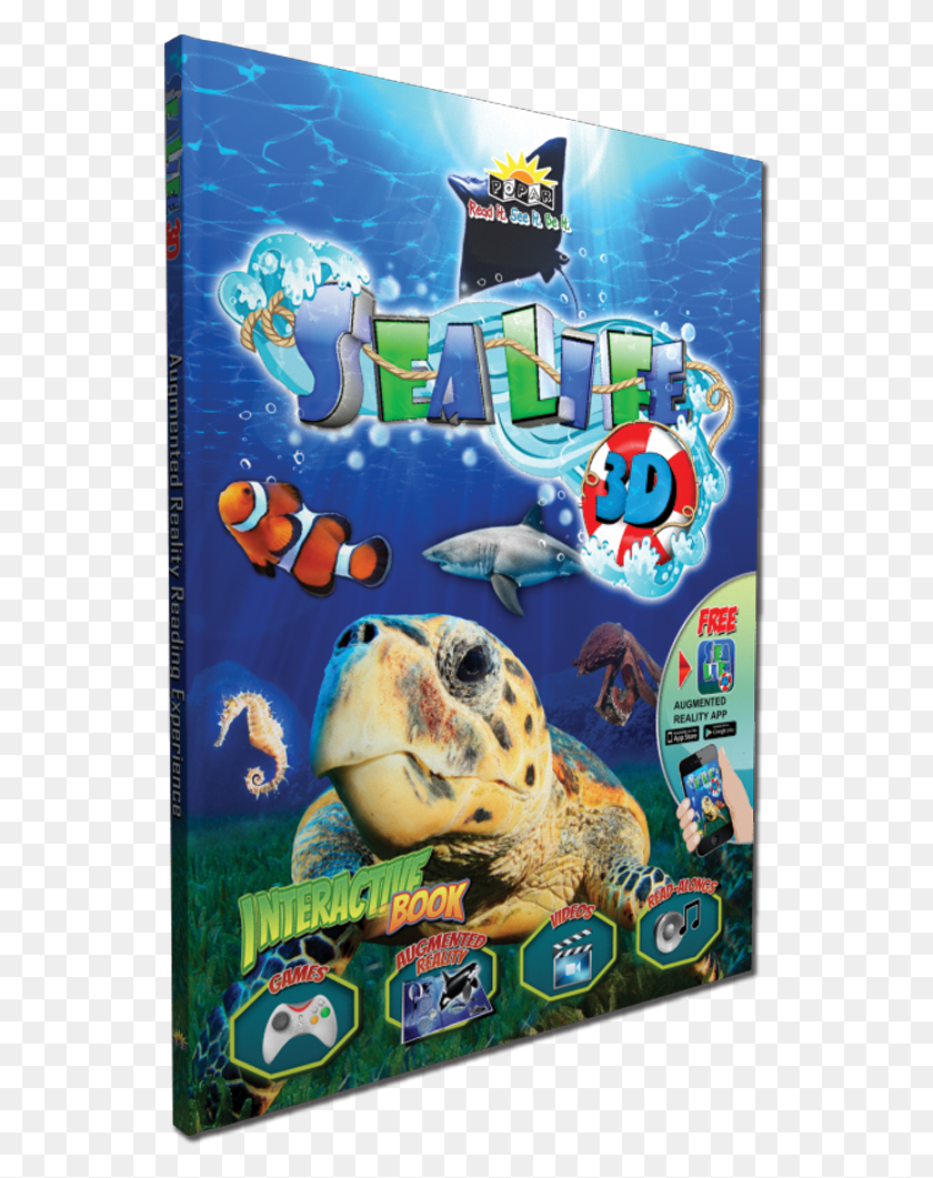 548x1001 Popar Toys Sea Life 3d Book Hamster, Sea Life, Animal, Reptile HD PNG Download
