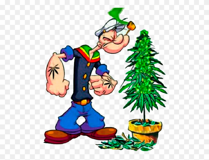 512x583 Popeye Pot Pinky And The Brain Stoned, Tree, Plant, Ornament HD PNG Download