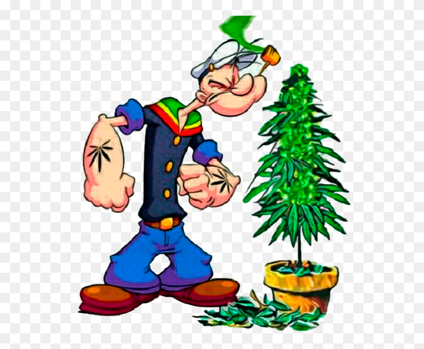 554x631 Popeye The Sailor Man Pipe, Tree, Plant, Ornament HD PNG Download