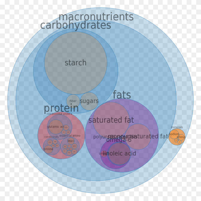960x960 Popeyes Biscuit All Nutrients By Relative Proportion Circle, Diagram, Disk, Sphere HD PNG Download