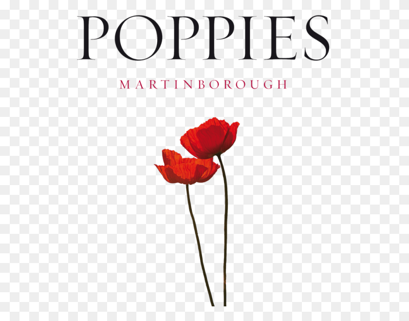 1001x769 Poppies Logo, Plant, Flower, Blossom HD PNG Download