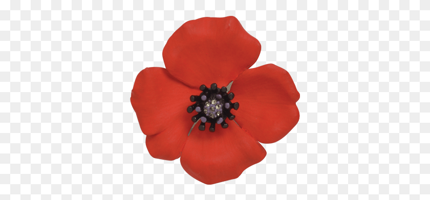 333x331 Poppies Poppy Pin, Jewelry, Accessories, Accessory HD PNG Download