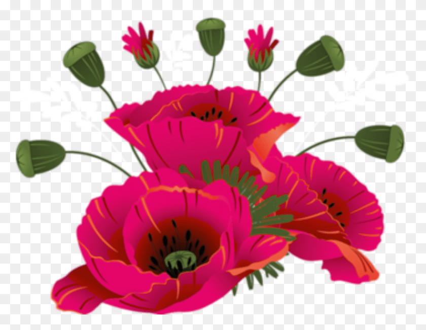 818x620 Poppies Sticker Transparent Remembrance Day Clip Art, Plant, Flower, Blossom HD PNG Download
