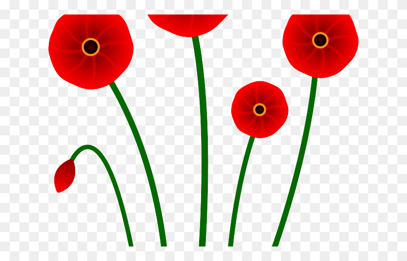 640x480 Poppy Clipart Wallpaper Clip Art, Plant, Flower, Blossom HD PNG Download