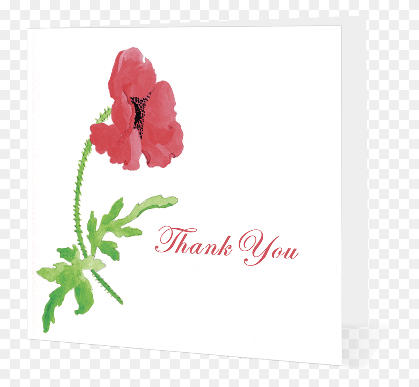 733x717 Poppy Thank You Garden Roses, Envelope, Mail, Greeting Card HD PNG Download
