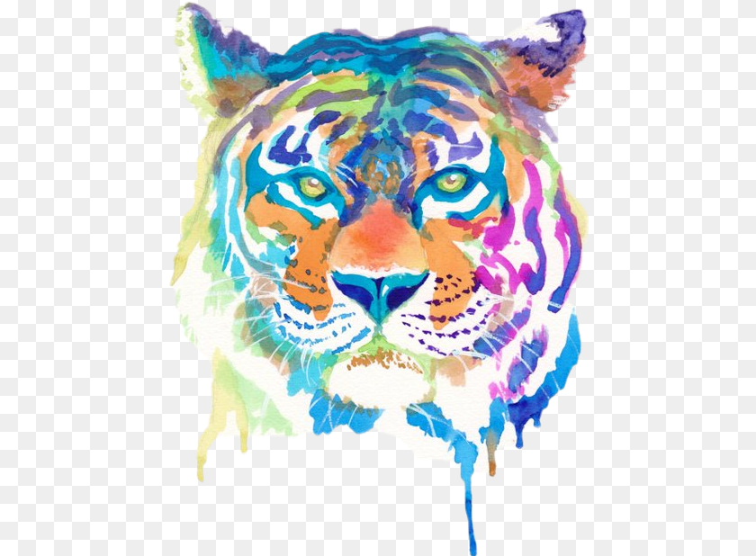 467x618 Popular And Trending Tiger Rawr Stripes Double Cool Things To Draw With Watercolour, Art, Graphics, Baby, Person Transparent PNG