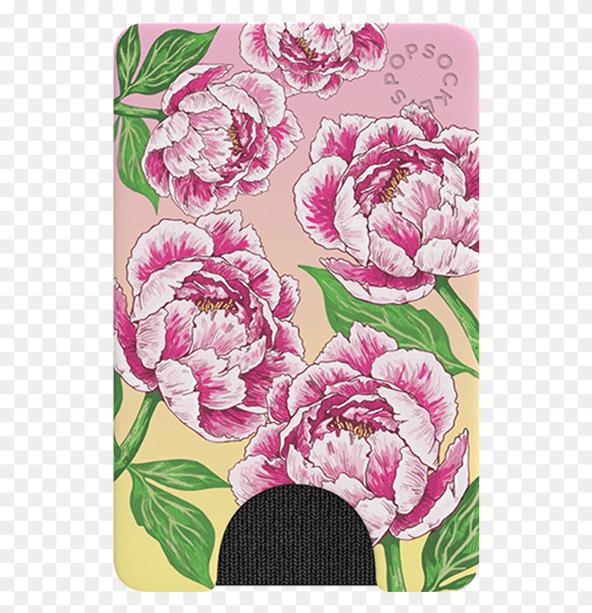 521x811 Popwallet Peony Paradise, Plant, Flower, Blossom HD PNG Download