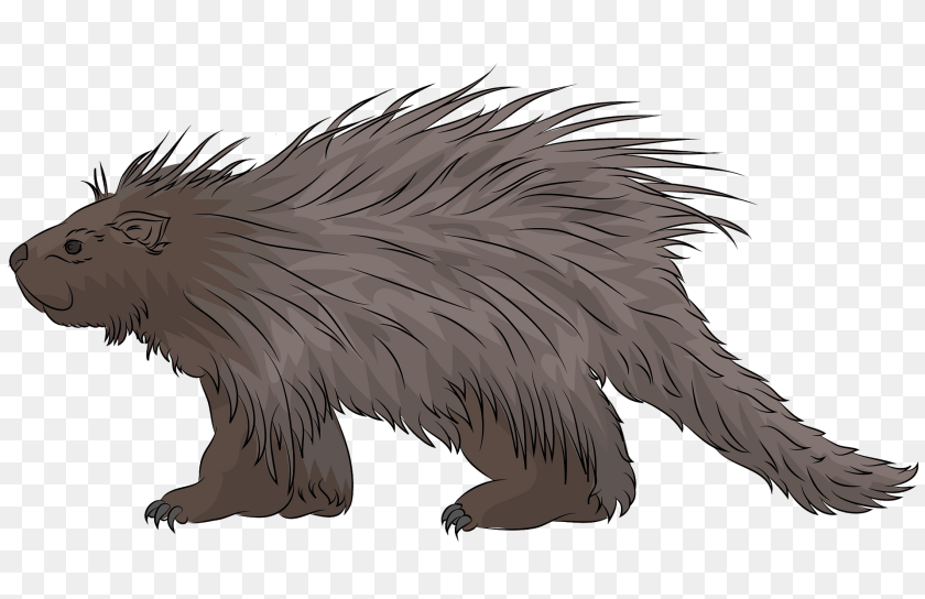 1920x1243 Porcupine Animal, Mammal, Rodent, Dinosaur Clipart PNG