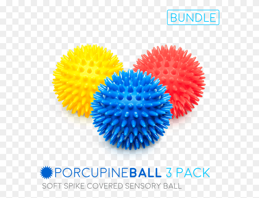 585x583 Porcupine Massage Ball 3 Pack Myofascial Release, Paper, Graphics HD PNG Download
