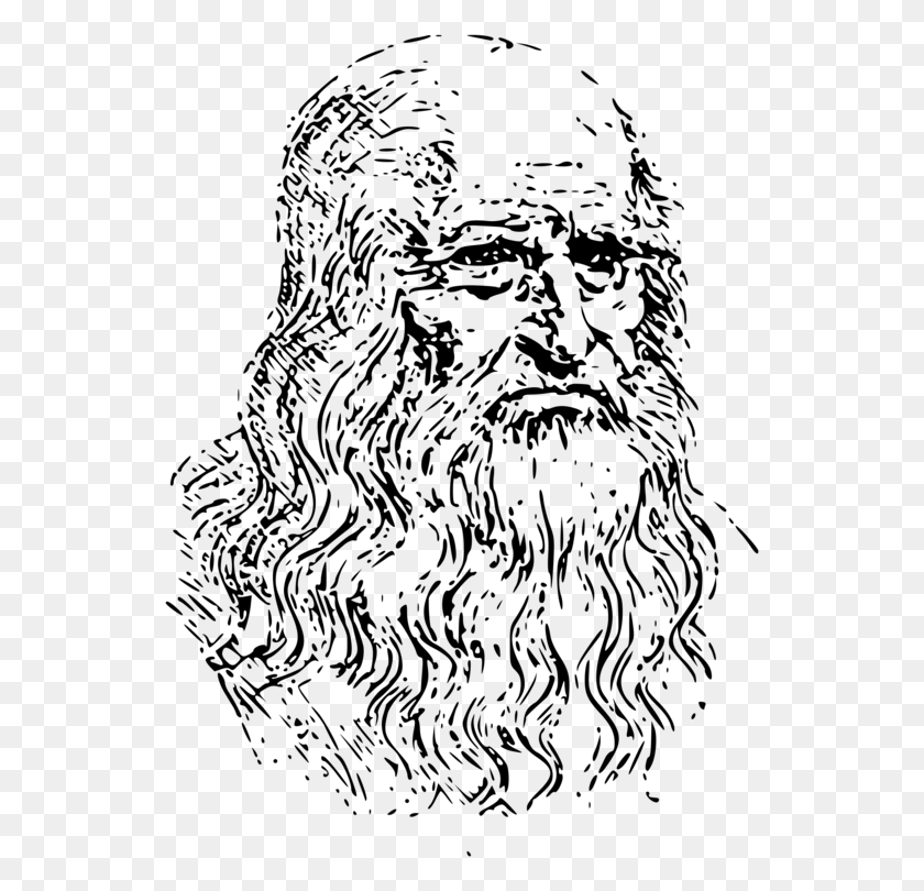 542x750 Portrait Of A Man In Red Chalk Vitruvian Man Drawing Leonardo Da Vinci Transparent Background, Gray, World Of Warcraft HD PNG Download