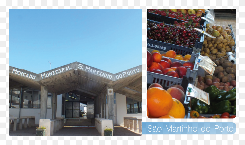 2489x1396 Portugal Realty Property For Sale En Portugal Portugal Blood Orange, Citrus Fruit, Fruta, Planta Hd Png