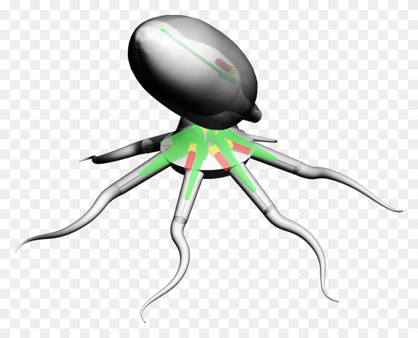 1024x813 Poseidrone Dung Beetle, Graphics, Toy HD PNG Download