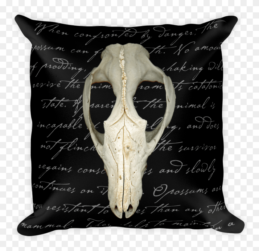 913x882 Possum Skull Pillow Pillow, Blackboard, Torso, Text HD PNG Download