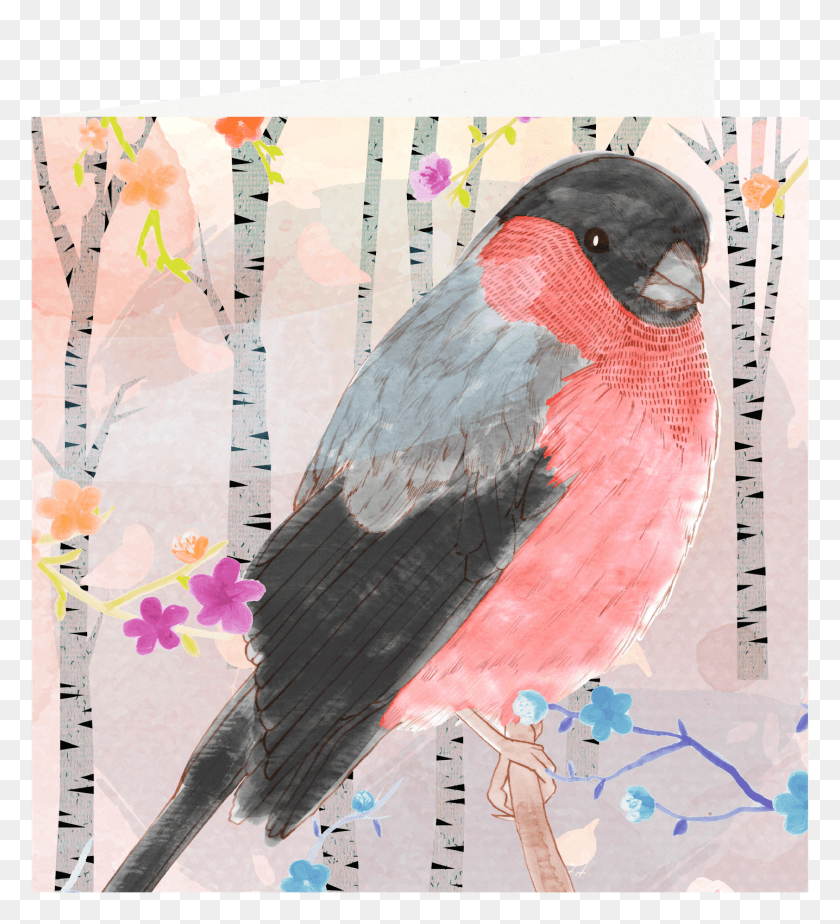 1436x1592 Postcard Drawing Watercolor Paint Rose Breasted Grosbeak, Bird, Animal, Poster HD PNG Download