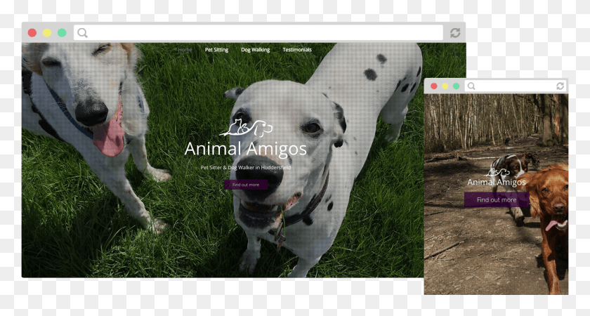 1243x622 Posted On May 15 2018 August 15 2018 By Lloyd Bull And Terrier, Dog, Pet, Canine HD PNG Download