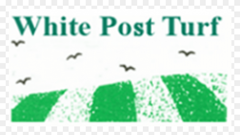 801x423 Poster, Text, Bird, Animal HD PNG Download