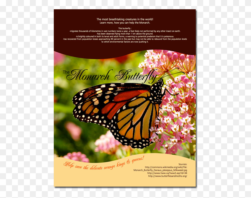 484x603 Poster Monarch Butterfly Monarch Butterfly, Advertisement, Flyer, Paper HD PNG Download