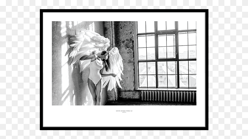 572x411 Poster White Wings Three Hz Desenio Angels Wings, Clothing, Apparel, Person HD PNG Download