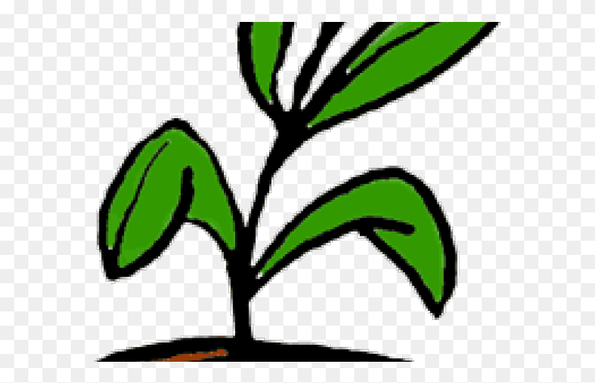 575x481 Pot Plant Clipart Office Plant Plant Clip Art, Green, Bush, Vegetation HD PNG Download