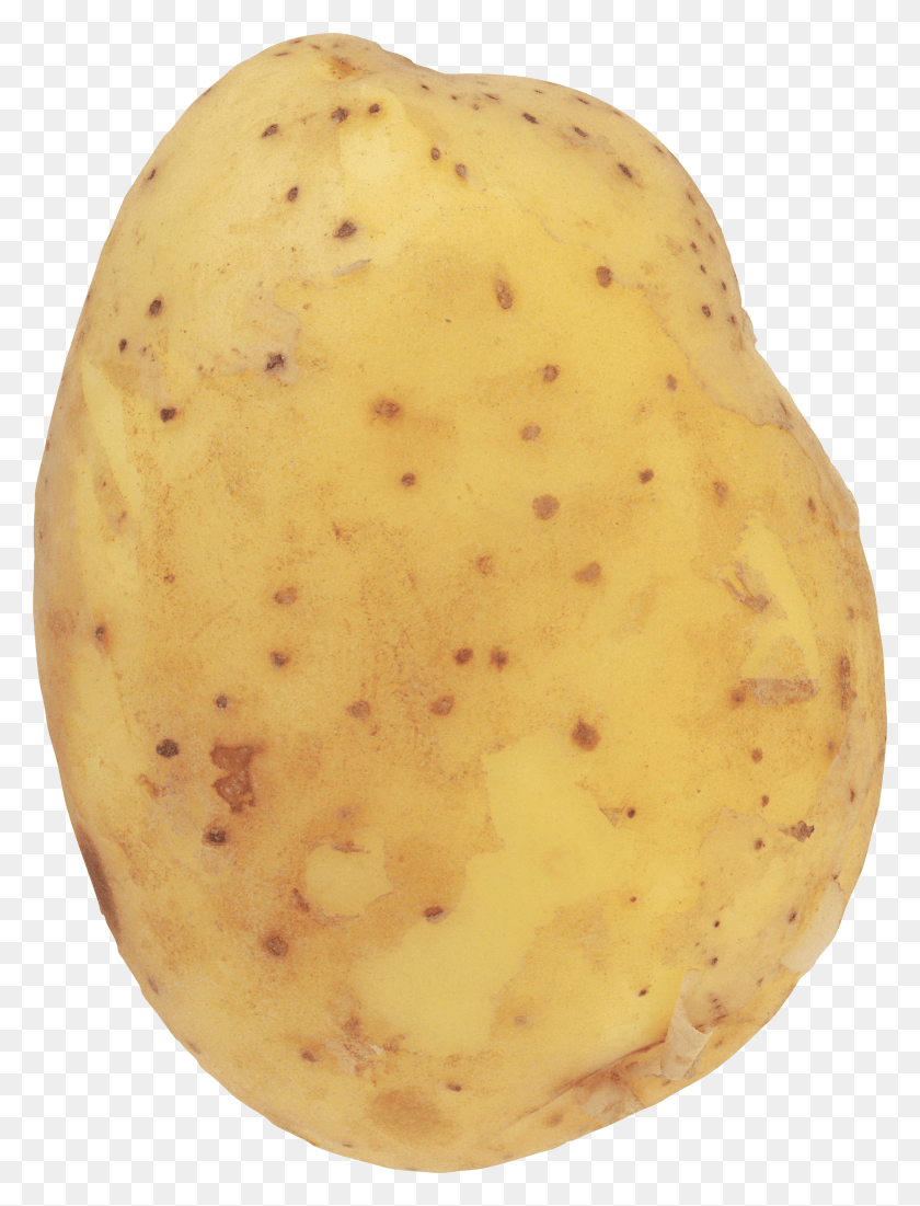 2546x3400 Potato Images Potato HD PNG Download