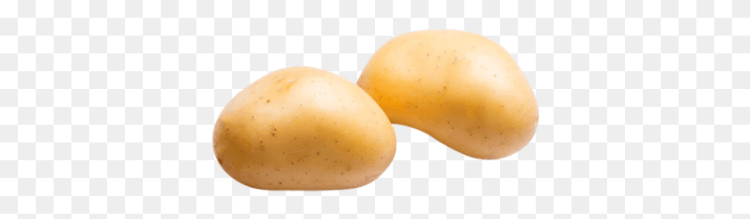 370x186 Potatoes Russet Burbank Potato, Plant, Vegetable, Food HD PNG Download
