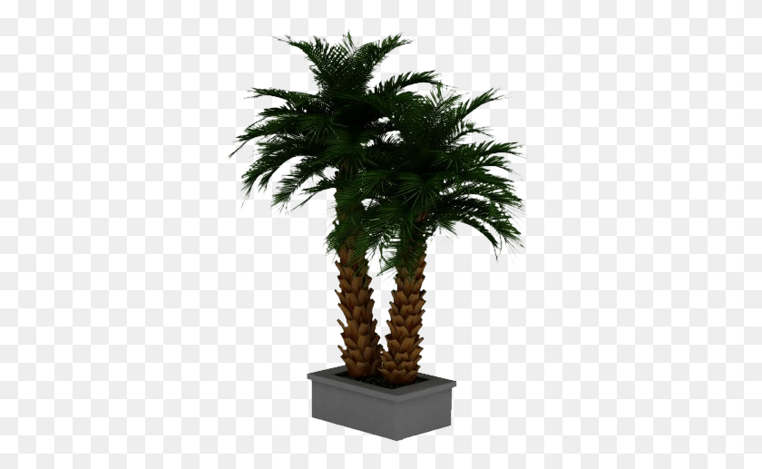 356x457 Potted Palm Tree Corn Stalk Dracaena Silk Plant, Tree, Arecaceae, Leaf HD PNG Download