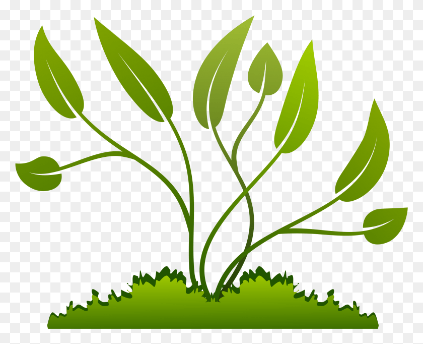 2271x1811 Potted Plants Clipart Plant Growth Clip Art, Green, Leaf, Jar HD PNG Download
