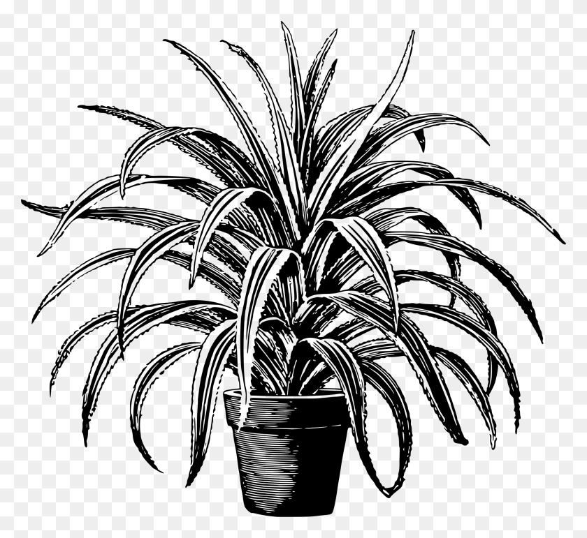 2400x2189 Potted Plants Clipart Short Tree Houseplant Black And White, Gray, World Of Warcraft HD PNG Download