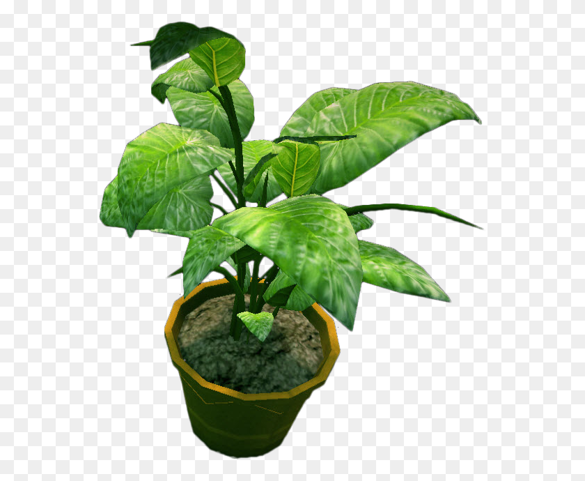 557x630 Растение В Горшке Файл Растения В Горшке, Лист, Зеленый, Конопля Hd Png Скачать