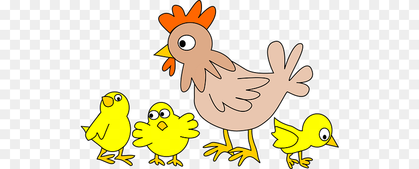 517x340 Poultry Animal, Bird, Chicken, Fowl Transparent PNG