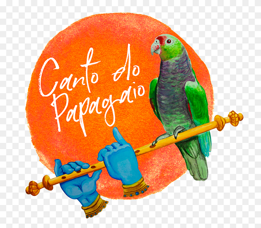 729x674 Pousada Canto Do Papagaio, Bird, Animal, Parakeet HD PNG Download