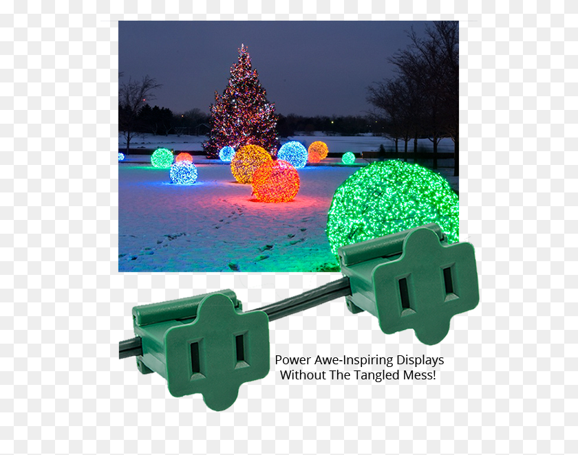 555x602 Power Electrical Displays With Zip Plugs Elf Outdoor Christmas Lights, Plant, Tree, Ornament HD PNG Download