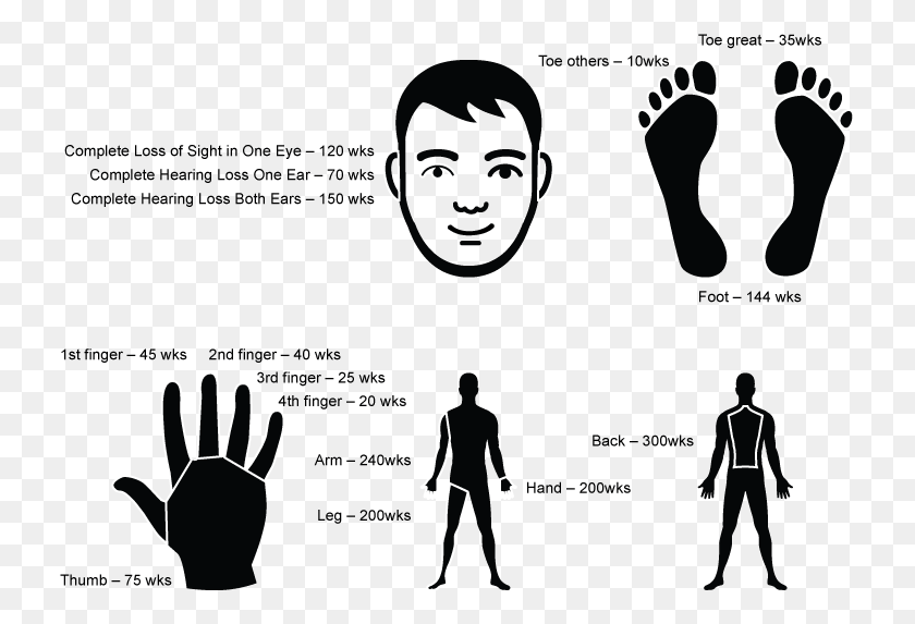 731x513 Ppd Sc Workers Compensation Body Part Value, Person, Human, Hand Descargar Hd Png