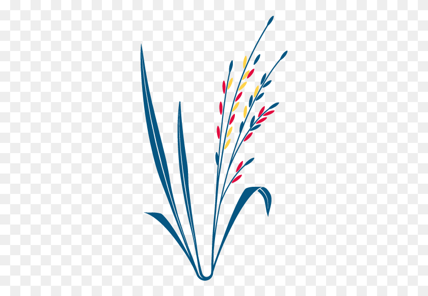 291x520 Prairie Seed Collecting Location Tbd, Plant, Flower, Blossom Descargar Hd Png