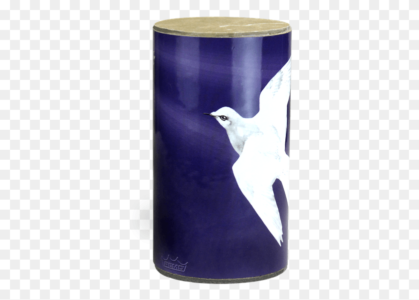 337x541 Praise Shaker Image Laughing Gull, Bird, Animal, Beak HD PNG Download