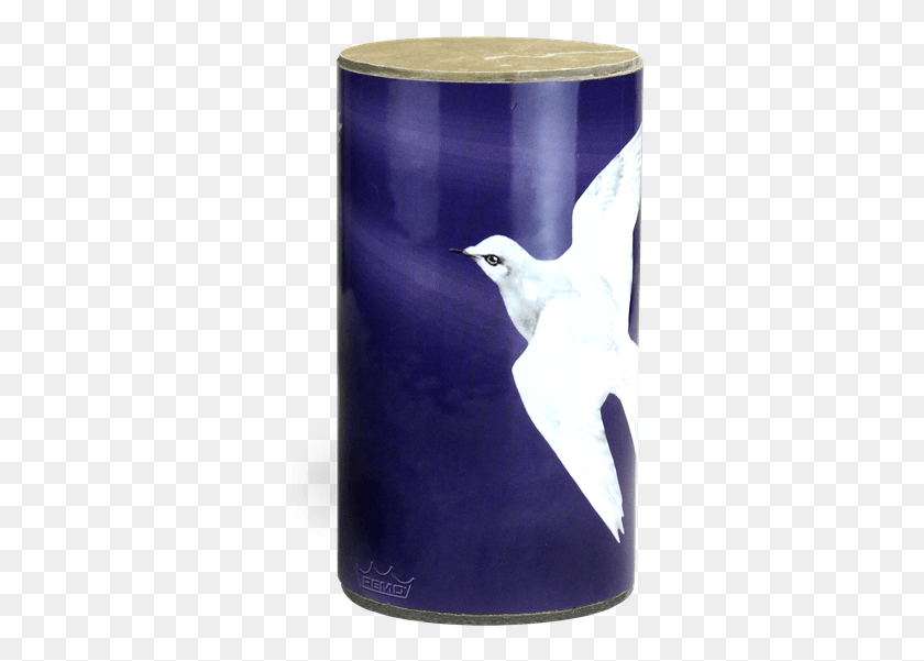 337x541 Descargar Png / Pájaro Png