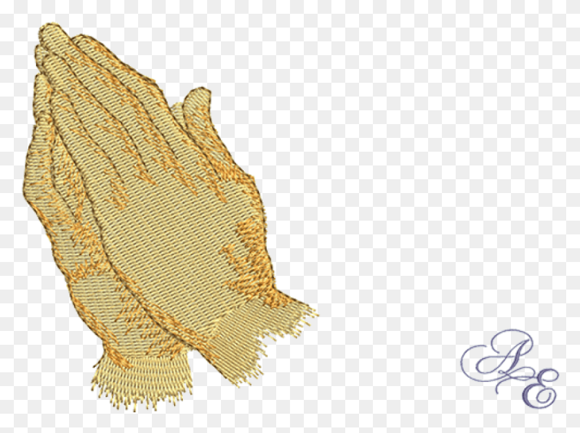 850x620 Praying Hands Images Background Fish, Animal, Sea Life, Invertebrate HD PNG Download