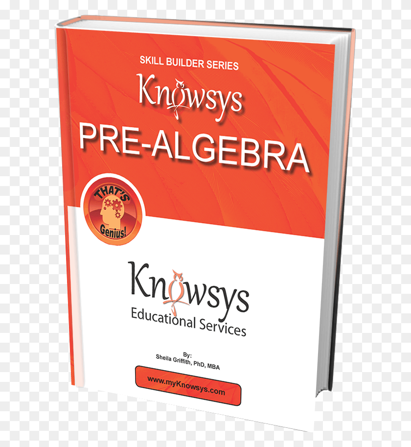 617x853 Pre Algebra Course Paper Product, Advertisement, Flyer, Poster Descargar Hd Png