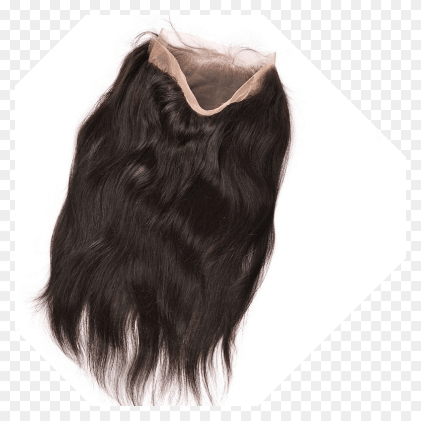 785x785 Pre Plucked 8a 100 Virgin Human Hair Frontal Lace Lace Wig, Horse, Mammal, Animal HD PNG Download