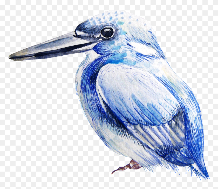 975x834 Precious Species Duck Transparent Belted Kingfisher, Bird, Animal, Jay HD PNG Download