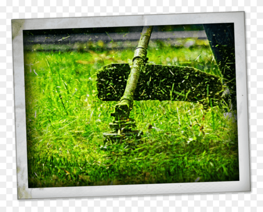 847x670 Precision Trimming Grass, Plant, Machine, Outdoors Descargar Hd Png