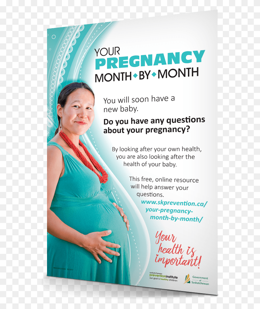575x938 Pregnancy Month To Month Poster Flyer, Advertisement, Paper, Brochure HD PNG Download