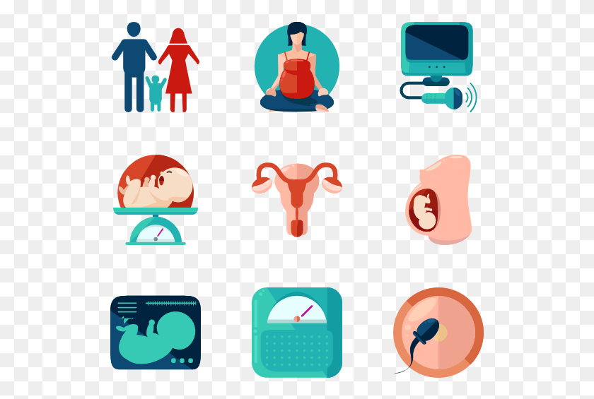 529x505 Pregnancy Pregnant Icon, Cow, Cattle, Mammal HD PNG Download