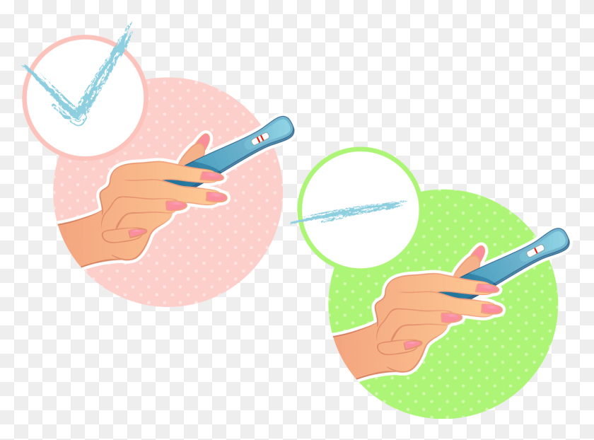 1518x1095 Pregnancy Test, Juggling, Magnifying HD PNG Download